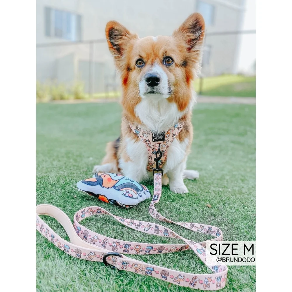 Sassy Woof Corgi Squeaky Dog Toy